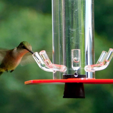 Abreuvoir suspendu pour oiseaux